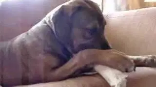 Rozko