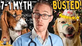 Your Dog's Age in Human Years (7-to-1 Myth BUSTED)