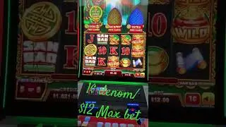 Max bet on San Bao Dragons #gambling #brothers #shorts #fyp #winning