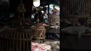 &ldquo;Inside the Rural Animal Market&rdquo; #traditionalmarket #ularbesar #localculture #streetfood @Aibulll7c
