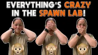 Crazy Updates On The Snake Shed And The Rat Shed!!!