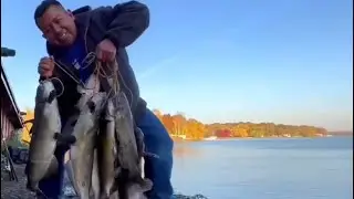 Grande pesca de bagres.Solo el recuerdo quedó. Lugar cerrado por tanta basura. 