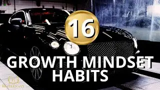16 Millionaire habits that grow your Mindset