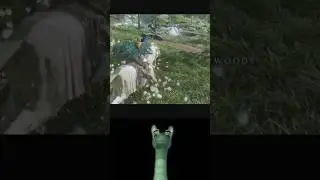 Animal parade.... Ghost of Yotei