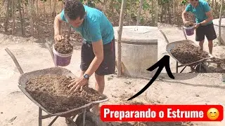 PREPARANDO O ESTRUME, PARA COLOCAR NO CANTEIRO.🙏 vejam... 