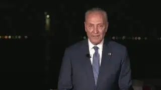 Senator Chuck Schumer at the Democratic National Convention