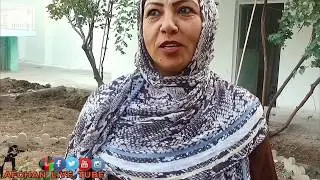 سریال کلک شیشم 2