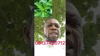 ITOJU OJU TI KORIRON DADA TONWO BAI BAI