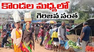   సందుబడి గిరిజన సంత || Tribal Market In Sandubadi ||Andhra Odisha border #tribalmarket
