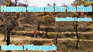 Hamare Gaon Ke Dur Ke Khet |IncredibleLocation| GaithnaPithoragarh |Vikramncvlogs🎥#viralvideo#video