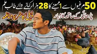 Earn 28,000 Per Month From 50 Hens 🐔 | Egg Business Idea | Poultry Farming Pakistan