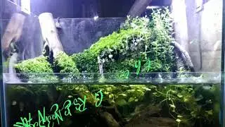 the GREEN ART gallery display
