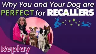 Why You and Your Dog are PERFECT for RECALLERS