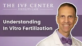Understanding In Vitro Fertilization | The IVF Center