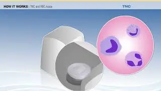 GloCyte(CSF Cellcounter) 제품 동영상