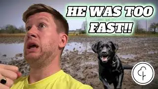 I Tried Racing A Dog At Uckfield Parkrun&hellip; It Did NOT Go To Plan