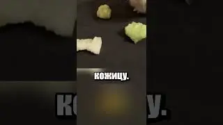 Кормежка морских свинок