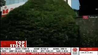 Bank Mayora Revisi Rencana Kredit di Semester II 2018