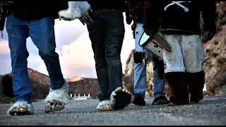 Band of Bigfoot Lives