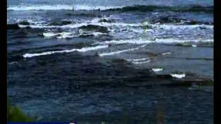 Oil leak from Knysna cargo ship: report