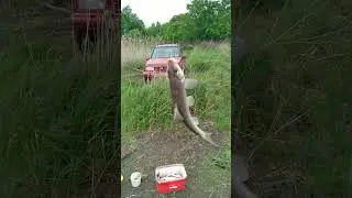 ВОТ И ОН КОНЕК...