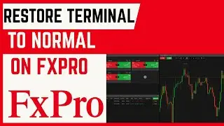 Как восстановить нормальный размер графика терминала в FxPro