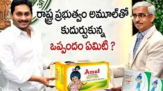 రాష్ట్ర ప్రభుత్వం అమూల్ తో కుదుర్చుకున్న ఒప్పందం ఏమిటి ? |  MOU between Amul and AP Government