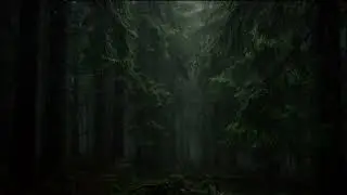 Deep Sleep Rain Sounds 🌧️ Dark Pine Forest at Night | Soothing Rainfall Ambience