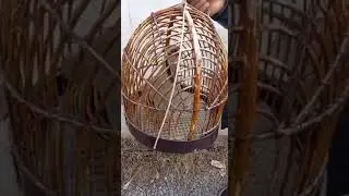 Дар овозут мурам