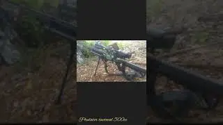 predator tactical 500cc