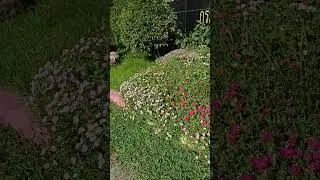 Si Sa Ket Horticultural Research Centre 🌺, ศูนย์วิจัยพืชสวนศรีสะเกษ, Nong Phai, Sisaket, Thailand 🇹🇭