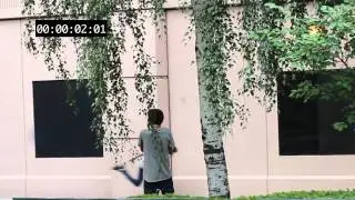 Adobe After Effects CS6: Rotoscoping/Compositing