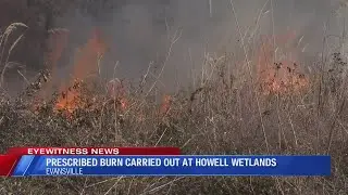 Prescribed burn carried out at Howell Wetlands