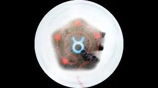 Adam Pits - Neural Nectar