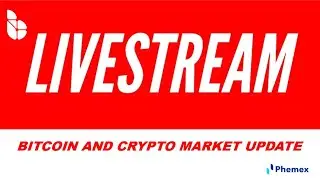 Blockroots Bitcoin and Crypto Livestream