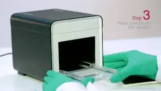 GelBox- All in one function electrophresis