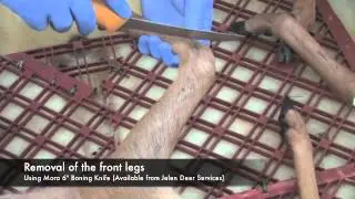 How to take the head and feet off a deer