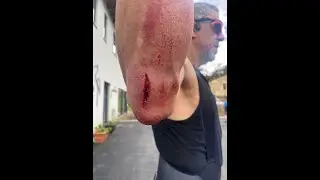 Caminho do Norte Ruta Primitiva: Etapa 5/8