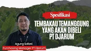 TEMBAKAU TEMANGGUNG ALA PT DJARUM