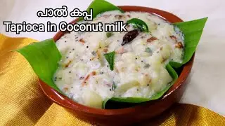 പാൽ കപ്പ | Paal Kappa Recipe in Malayalam