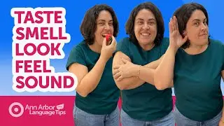 Os 5 VERBOS de SENTIDO em INGLÊS e como USÁ-LOS!