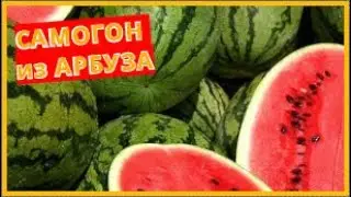 Самогон из арбуза - рецепт арбузной браги в домашних условиях