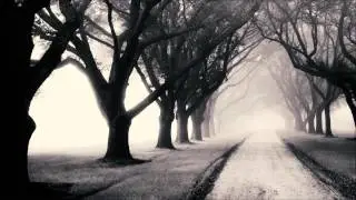 Asymmetric - I Could Not Turn Back (Dave Hoax VIP)