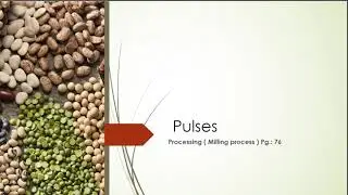 Processing Of Pulses