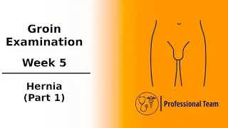CSFC / Week 5 - Part 1 - Groin Examination (Hernia) 
