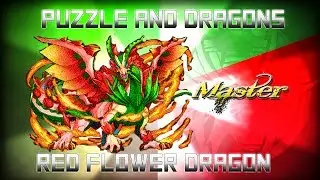 Puzzle And Dragons: Red Flower Dragon | Red Backwater | Master