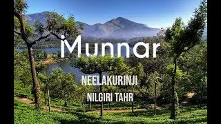 #Munnar in 4K (#Neelakurinji, #Nilgiri_Tahr) 2018