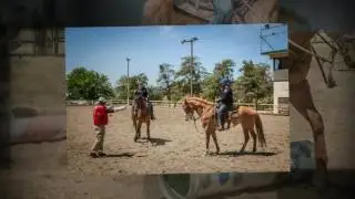 SBCSD Mounted Training
