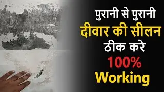 Wall Dampness Treatment | दीवार की सीलन को कैसे रोके | 100 % Working | Dr. Fixit Waterproofing.