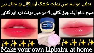 Get NATURAL Pink Lips 👄 ith Homemade LIPBALM Zoha Ch Home Tips ✨